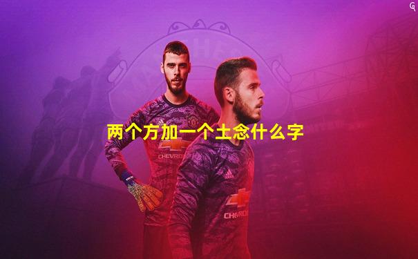 两个方加一个土念什么字