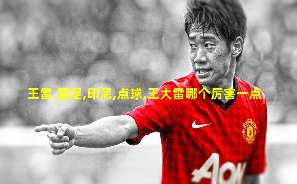 王雷,国足,印尼,点球,王大雷哪个厉害一点