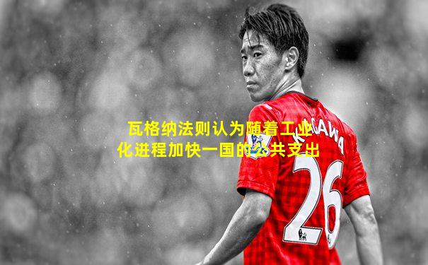 瓦格纳法则认为随着工业化进程加快一国的公共支出