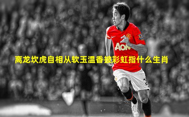 离龙坎虎自相从软玉温香披彩虹指什么生肖
