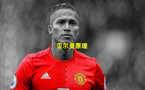 贝尔曼原理