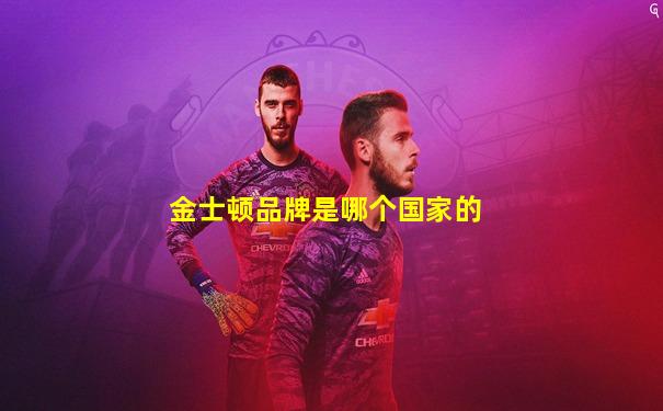 金士顿品牌是哪个国家的