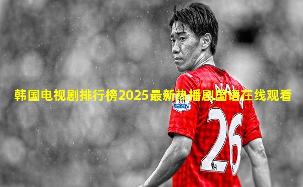 韩国电视剧排行榜2025最新热播剧国语在线观看