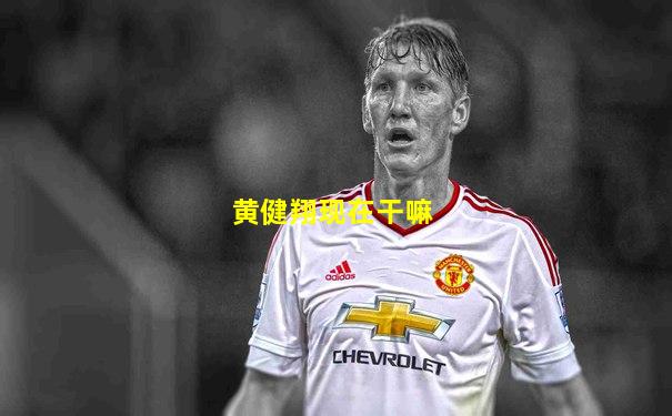 黄健翔现在干嘛