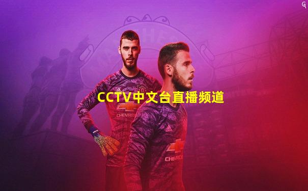 CCTV中文台直播频道