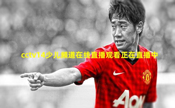 cctv14少儿频道在线直播观看正在直播中