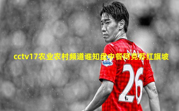 cctv17农业农村频道谁知盘中餐阿克苏红旗坡
