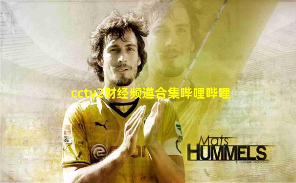 cctv2财经频道合集哔哩哔哩