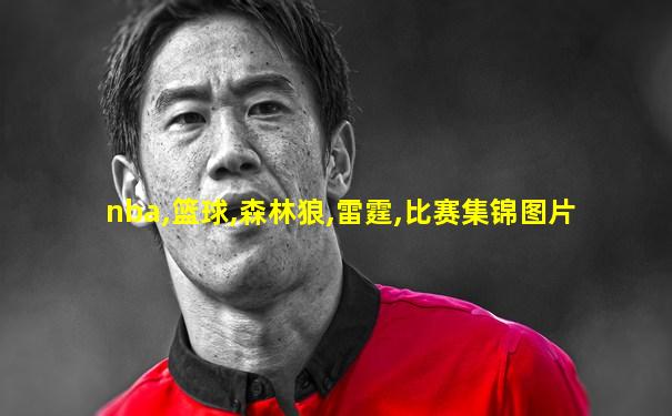 nba,篮球,森林狼,雷霆,比赛集锦图片