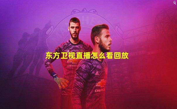 东方卫视直播怎么看回放