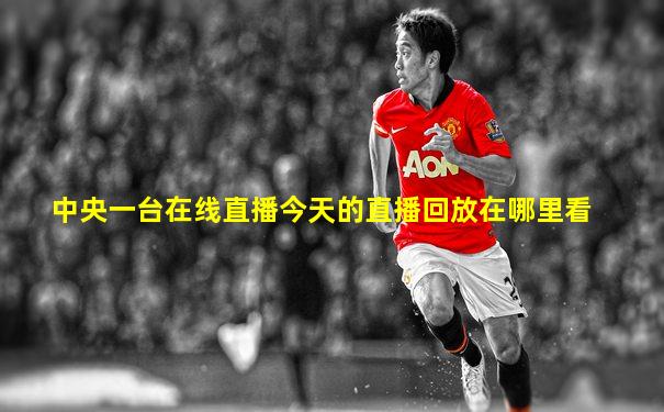 中央一台在线直播今天的直播回放在哪里看