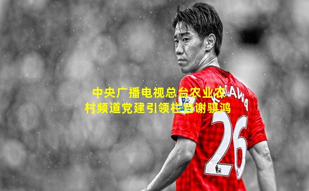 中央广播电视总台农业农村频道党建引领栏目谢骐鸿