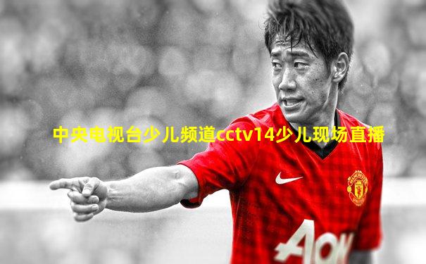 中央电视台少儿频道cctv14少儿现场直播