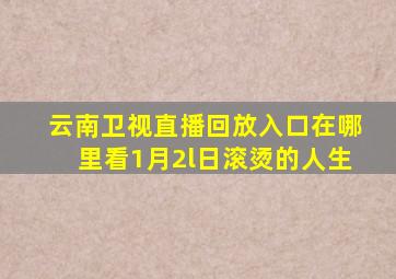 云南卫视直播回放入口在哪里看1月2l日滚烫的人生