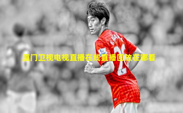 厦门卫视电视直播在线直播回放在哪看