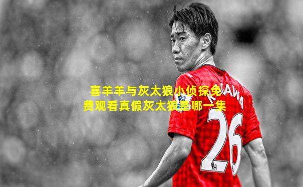 喜羊羊与灰太狼小侦探免费观看真假灰太狼是哪一集
