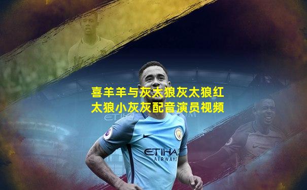 喜羊羊与灰太狼灰太狼红太狼小灰灰配音演员视频