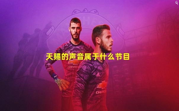 天赐的声音属于什么节目