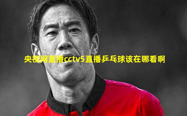 央视网直播cctv5直播乒乓球该在哪看啊