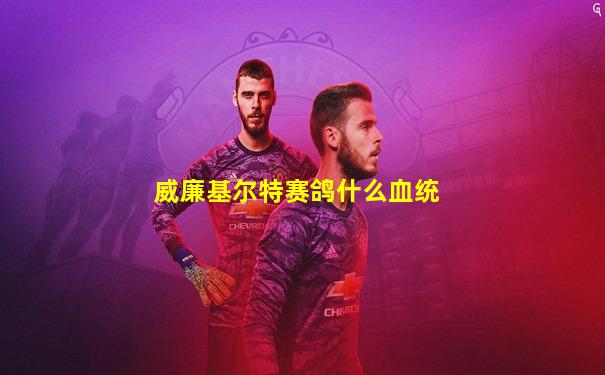 威廉基尔特赛鸽什么血统