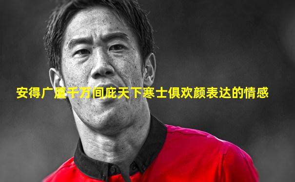 安得广厦千万间庇天下寒士俱欢颜表达的情感