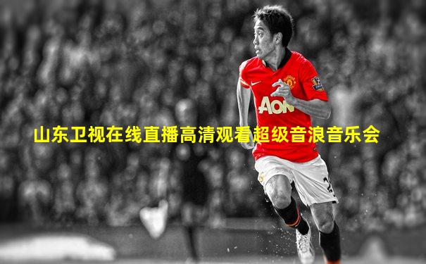 山东卫视在线直播高清观看超级音浪音乐会
