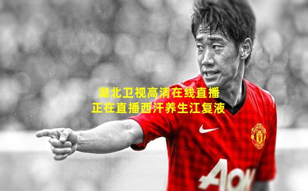 湖北卫视高清在线直播正在直播西汗养生江复液