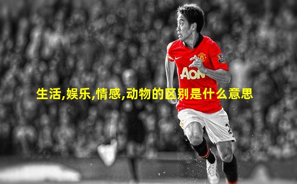 生活,娱乐,情感,动物的区别是什么意思