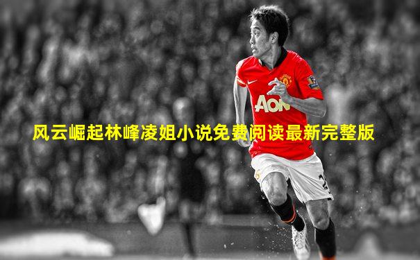 风云崛起林峰凌姐小说免费阅读最新完整版