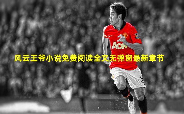 风云王爷小说免费阅读全文无弹窗最新章节